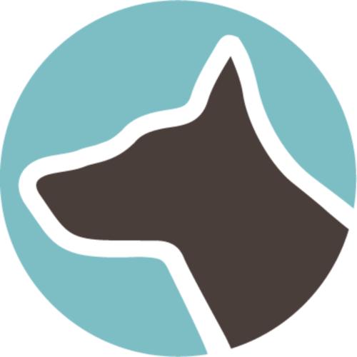 Diggity dogs service