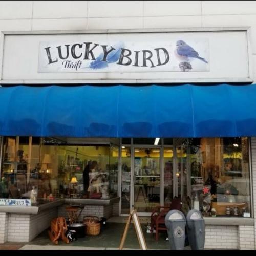 Lucky Bird